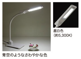 kX^C̃i`eCXg