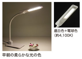 kX^C̃i`eCXg