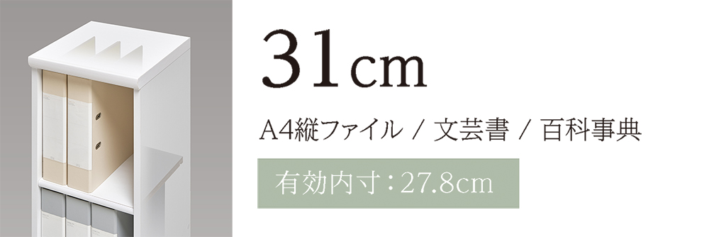 奥行き31cm(A4縦ファイル)/文芸書/百科事典