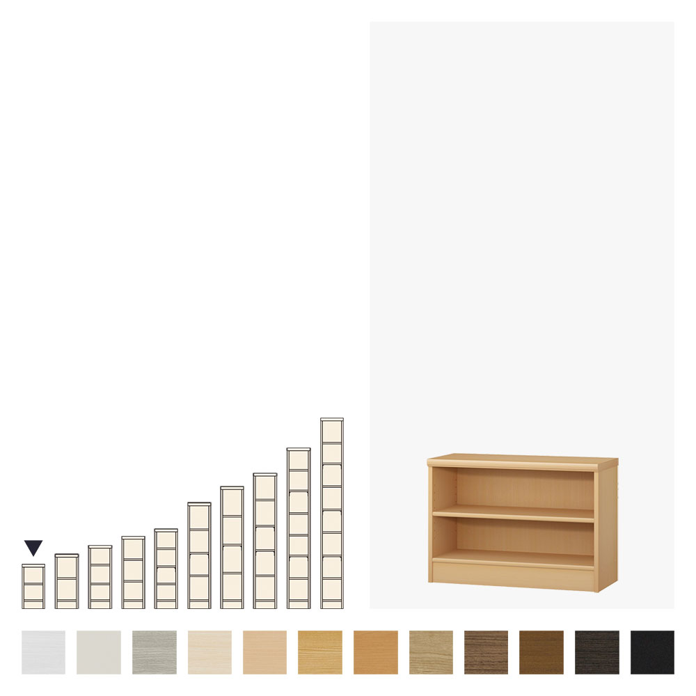 acerack オーダーメイド本棚・標準タイプ